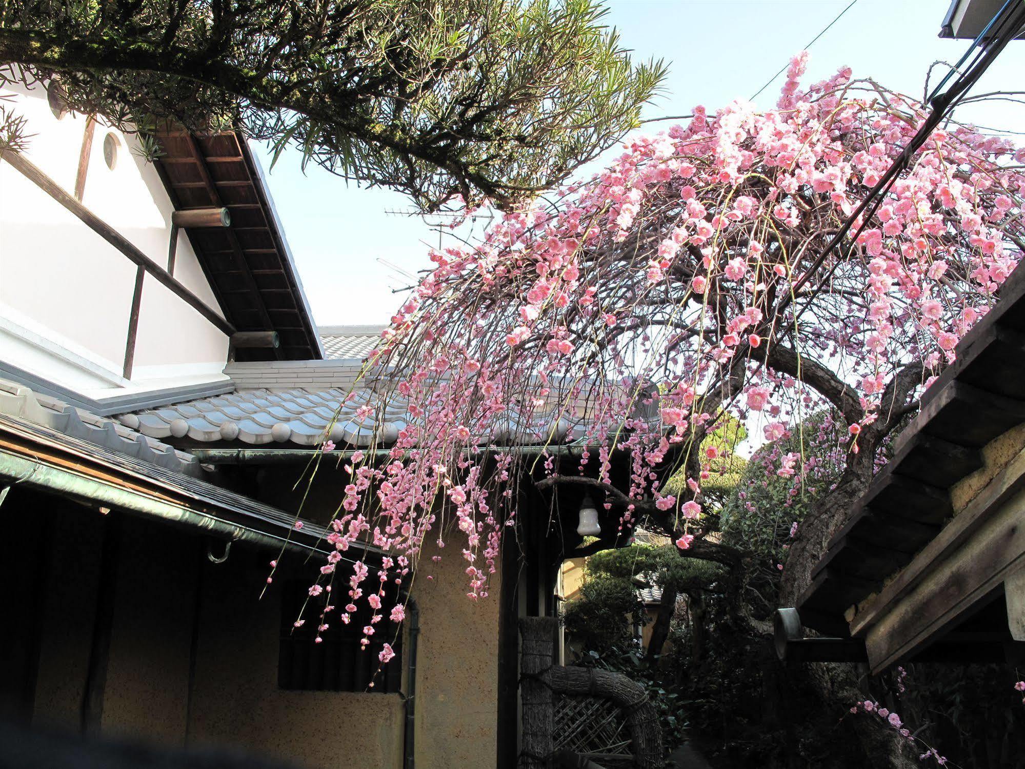 Guesthouse Nara Backpackers Bagian luar foto